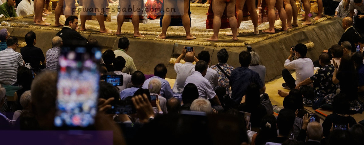 由数据流与连接节点组成的抽象背景图形，表现反馈回流的路径